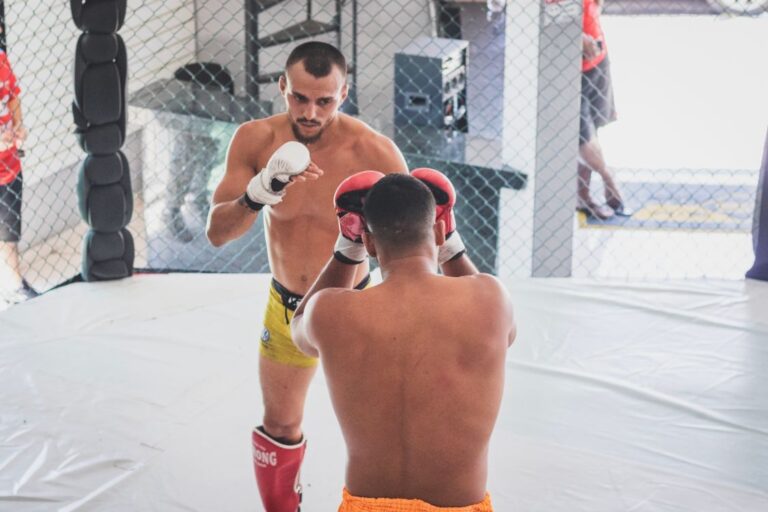 Melhores luvas de MMA e boxe de 2026: 5 opcoes no Brasil